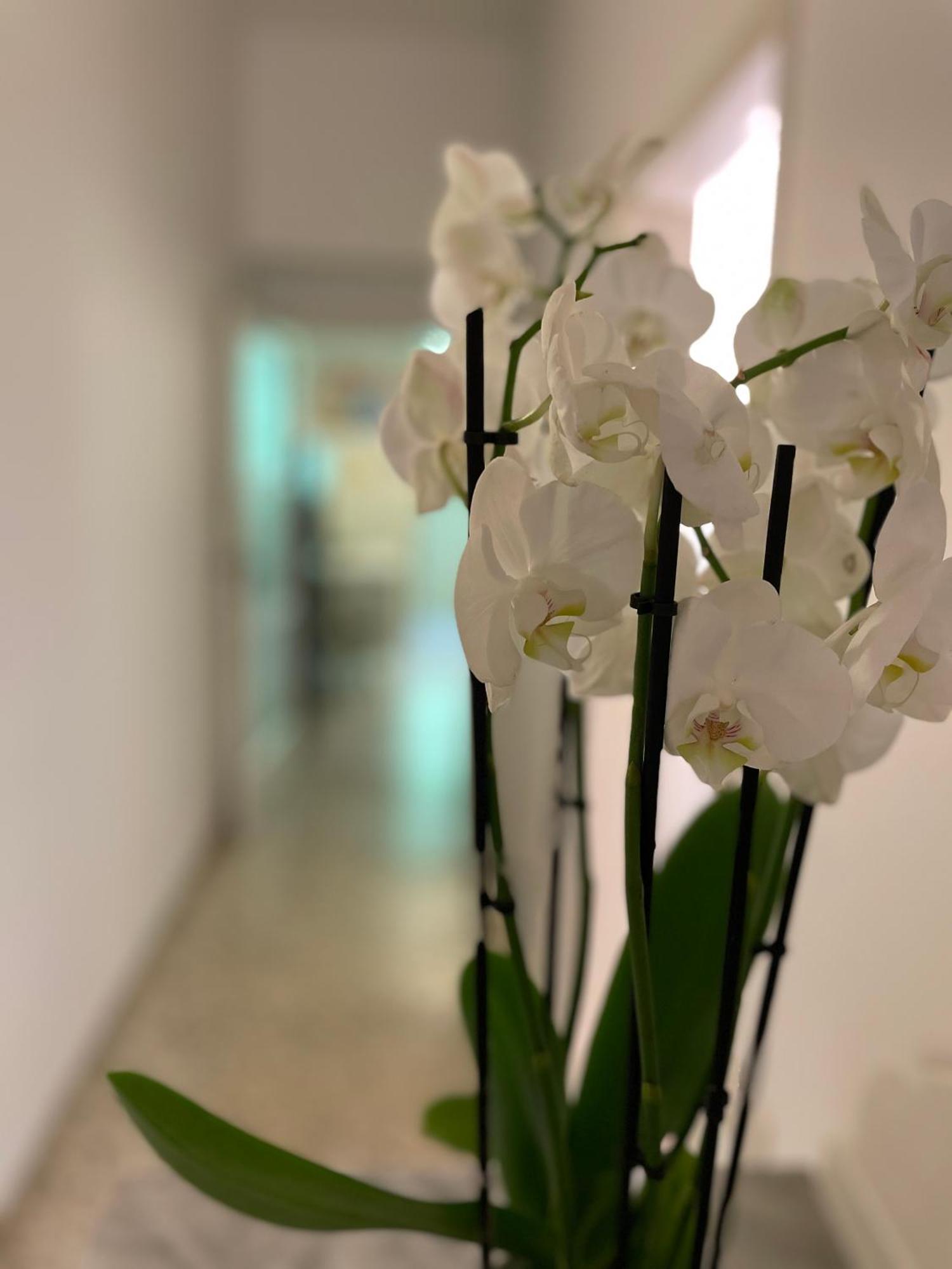 Ruote Family Apartment Florenz