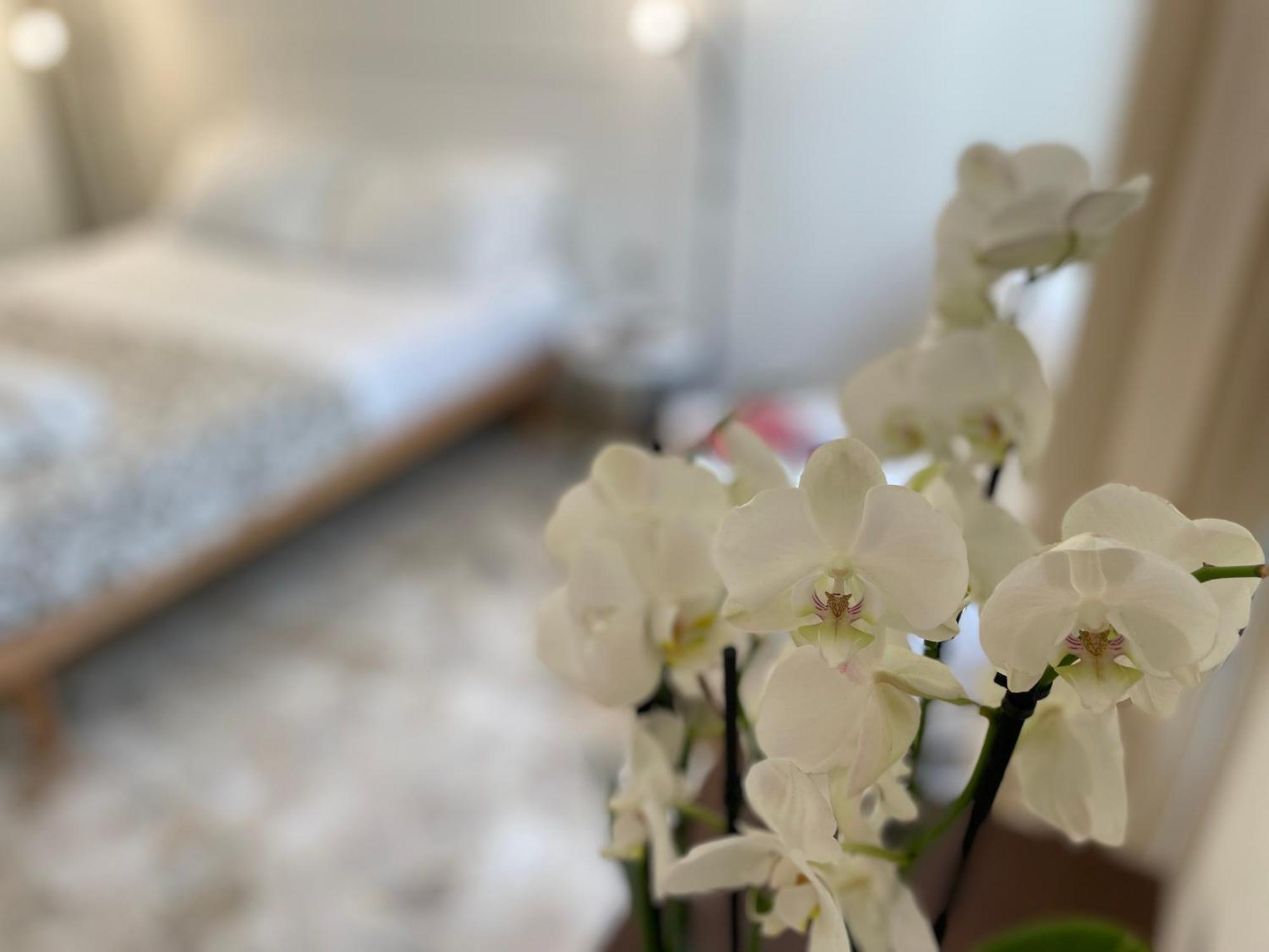 Apartment Ruote Family Florenz